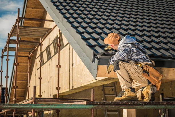 Best Roof Gutter Cleaning  in Chatham, VA