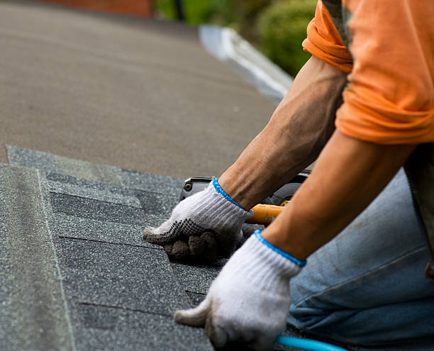 Best Gutter Installation and Roofing  in Chatham, VA