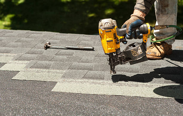 Best Roof Maintenance Services  in Chatham, VA